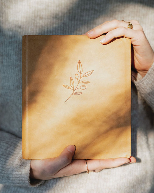 Bibel mit Olivenzweig - Sconi Bibel