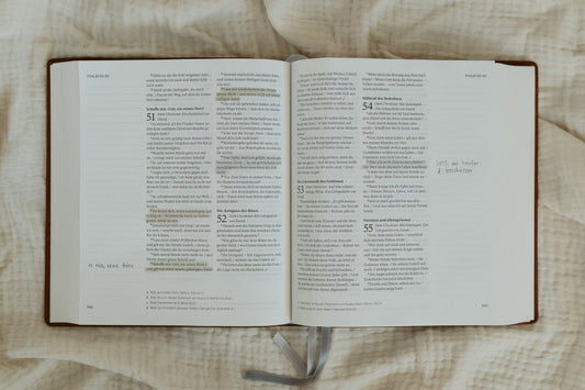 In deine Sconi Bibel schreiben ✍️✨
