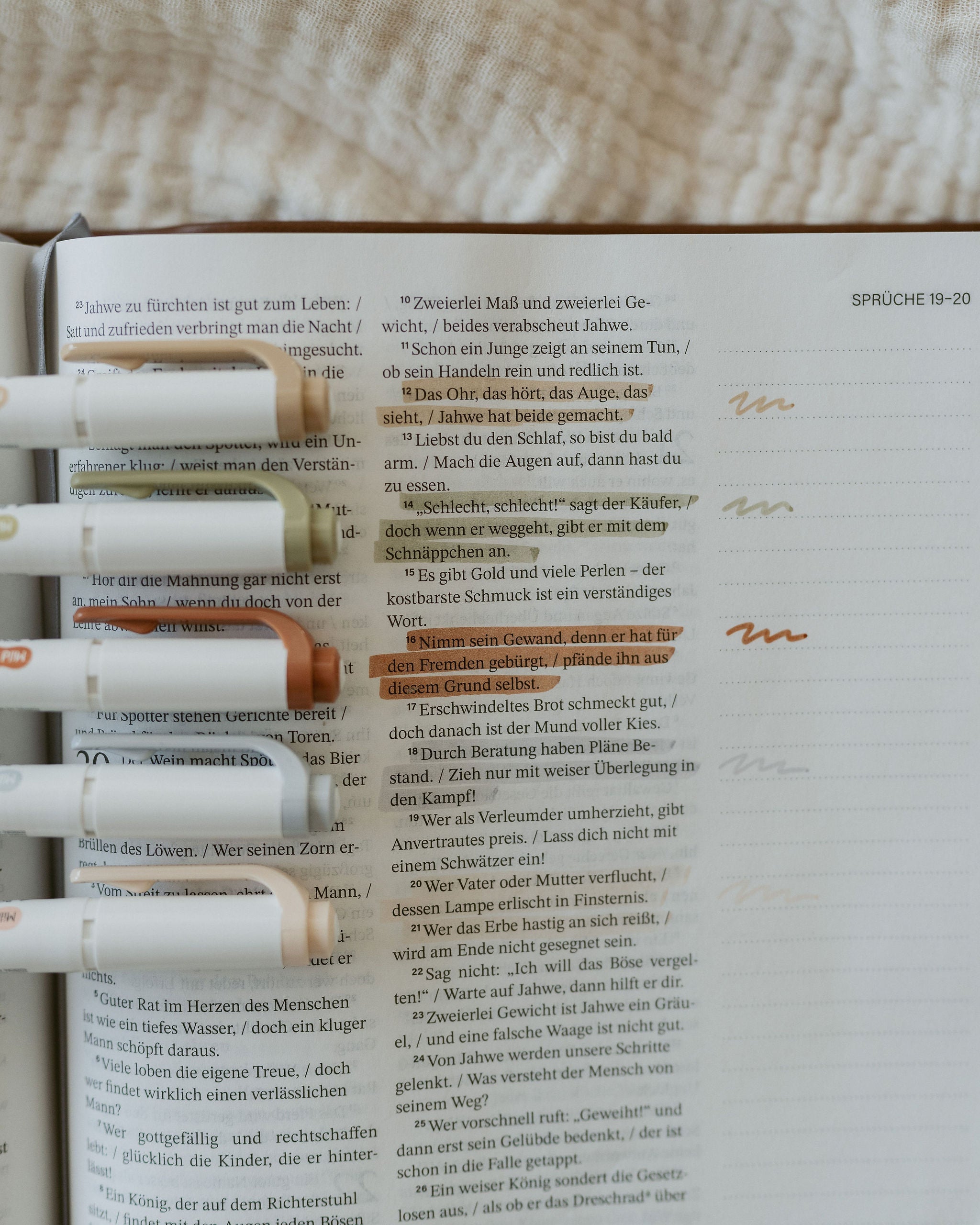 Sconi - Gottes Schönheit sichtbar – Sconi Bibel