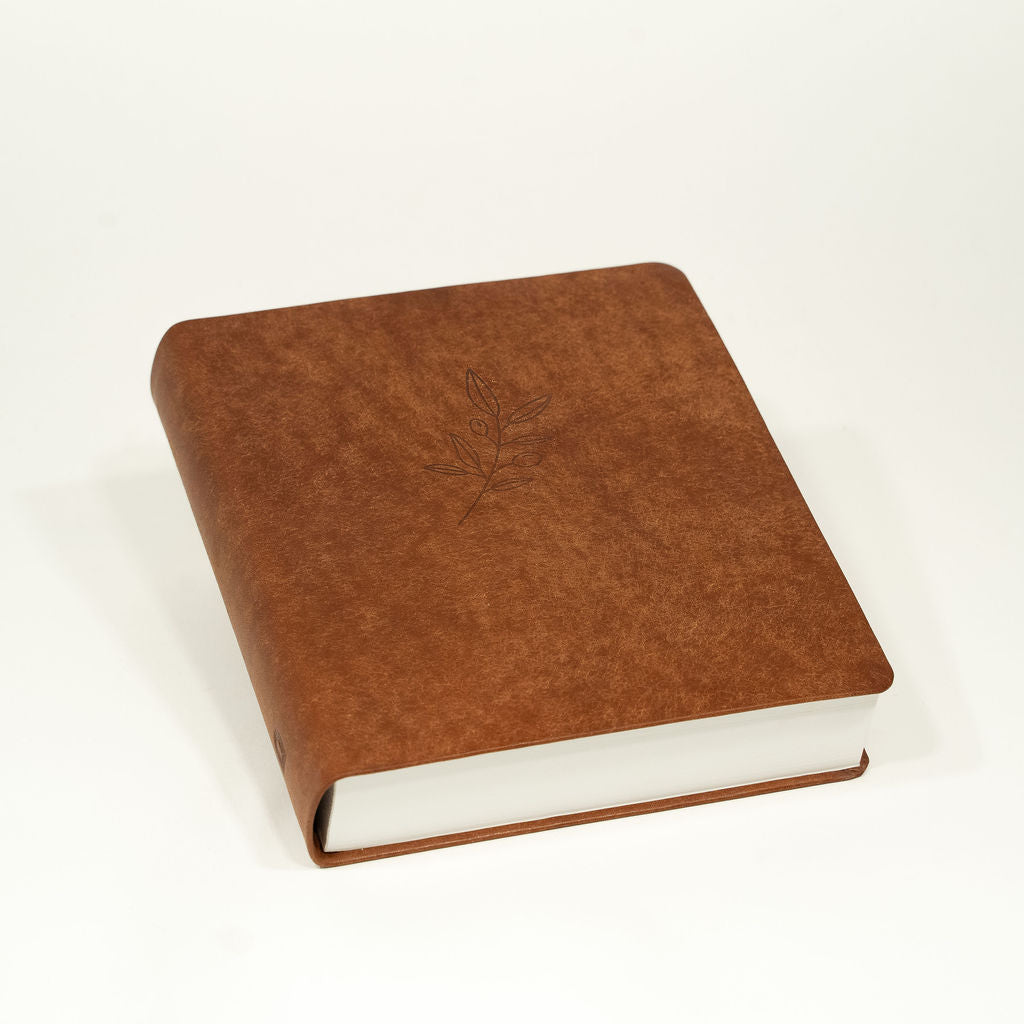 Bibel mit Olivenzweig