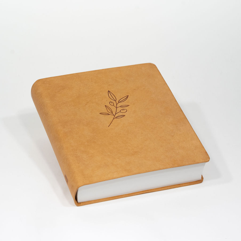 Bibel mit Olivenzweig