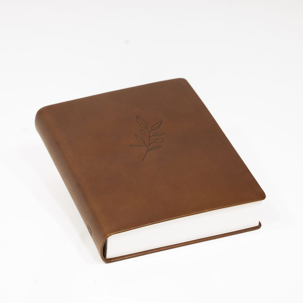 Bibel mit Olivenzweig