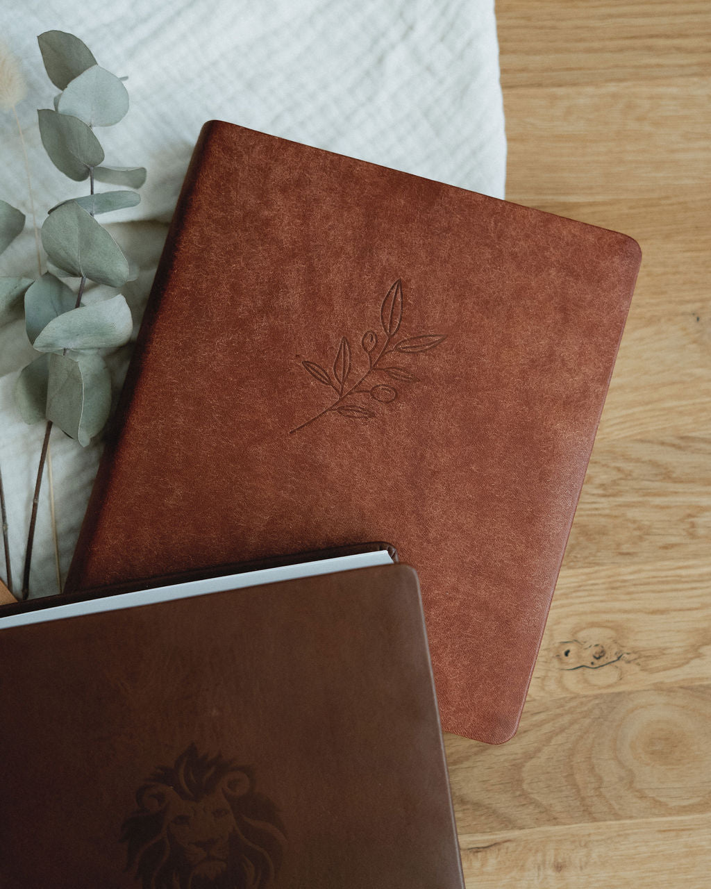 Bibel mit Olivenzweig