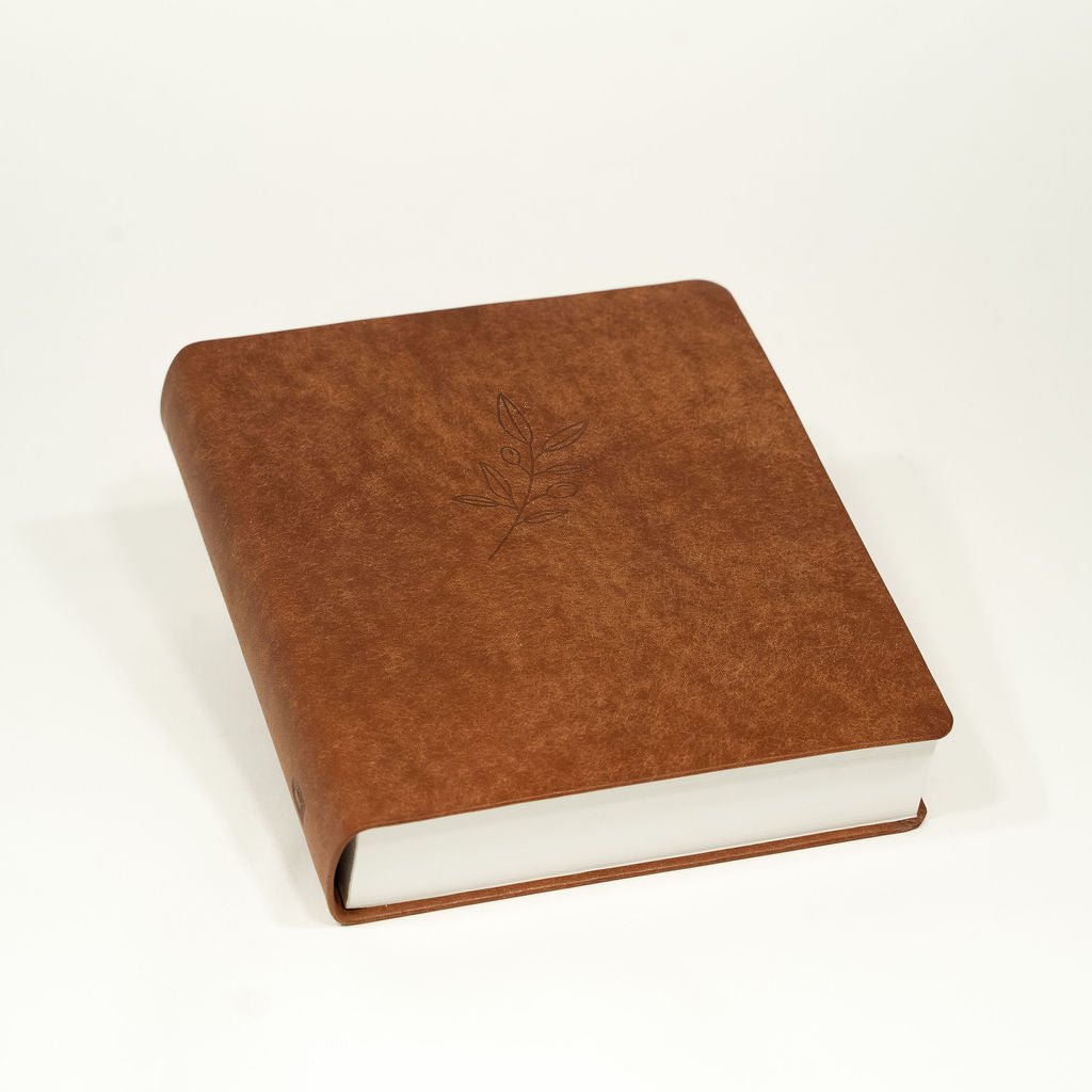 Bibel mit Olivenzweig - Sconi Bibel